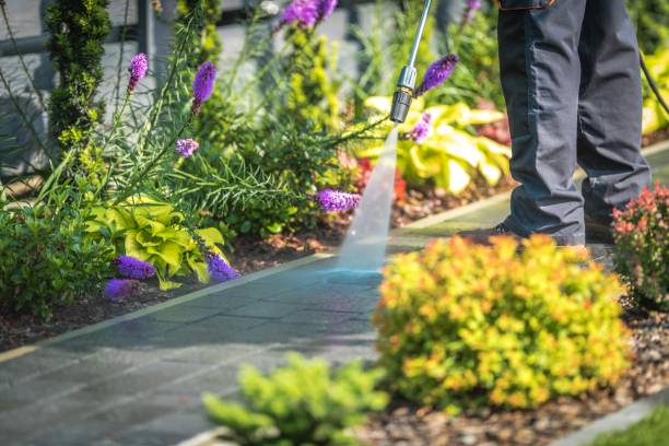 Animal Enclosure Cleaning in Rehoboth Beach, DE