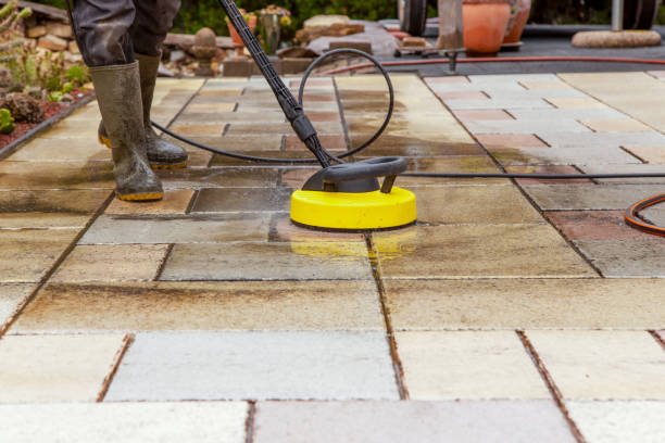 Best Animal Enclosure Cleaning  in Rehoboth Beach, DE