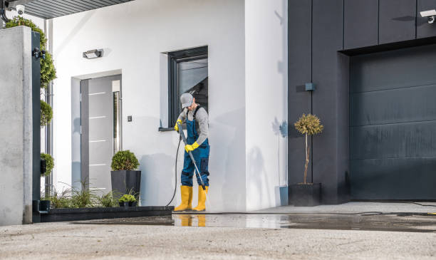 Best Gutter Cleaning  in Rehoboth Beach, DE